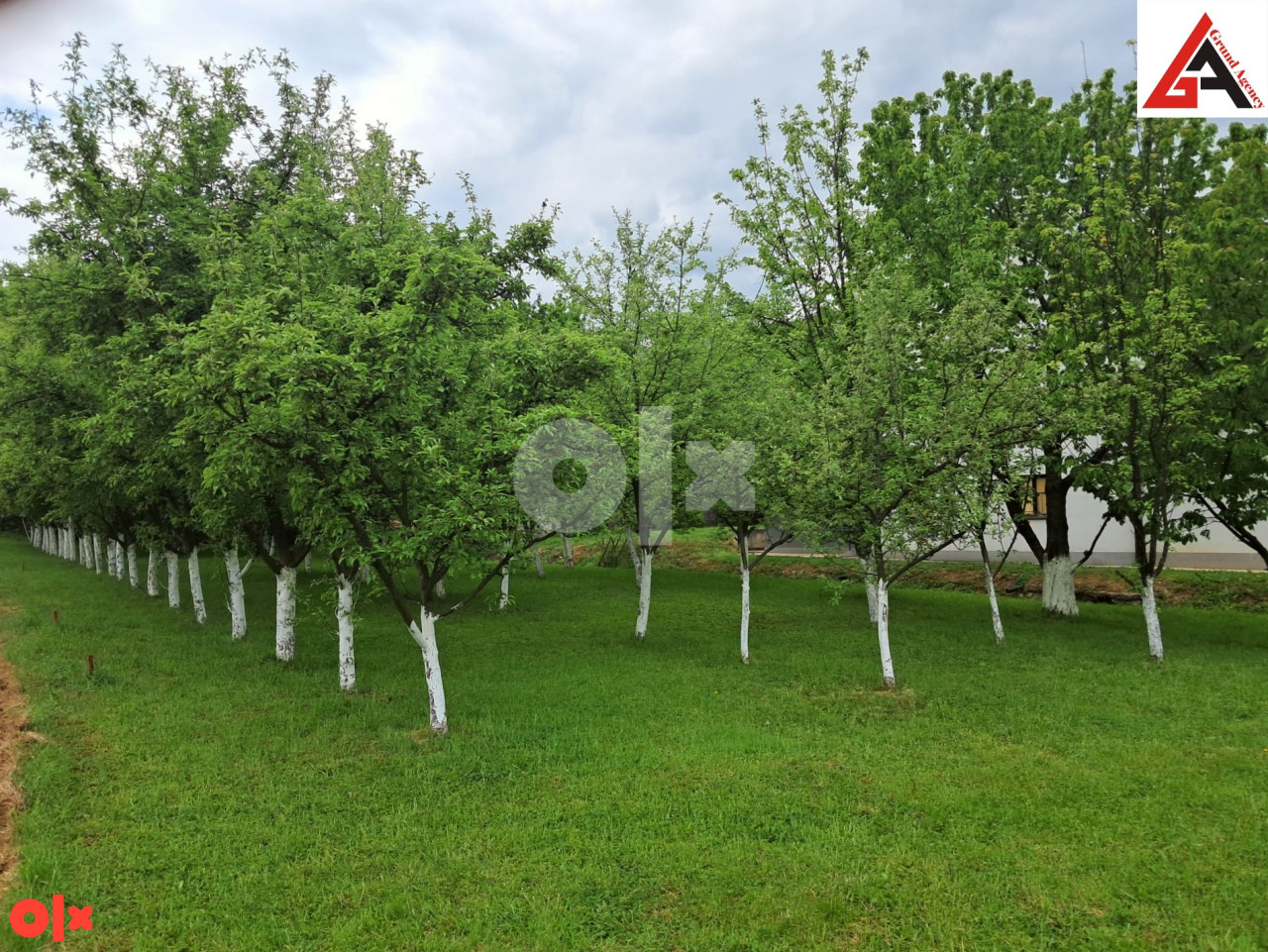 Kuća sa 240 m2 stamb. pr. i 3160 m2 okuć.-Dolac na Lašvi-TRAVNIK 15
