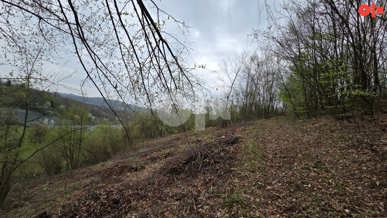 Zemljište Ilidža Rakovica Zelena Meraja 5022m2 4