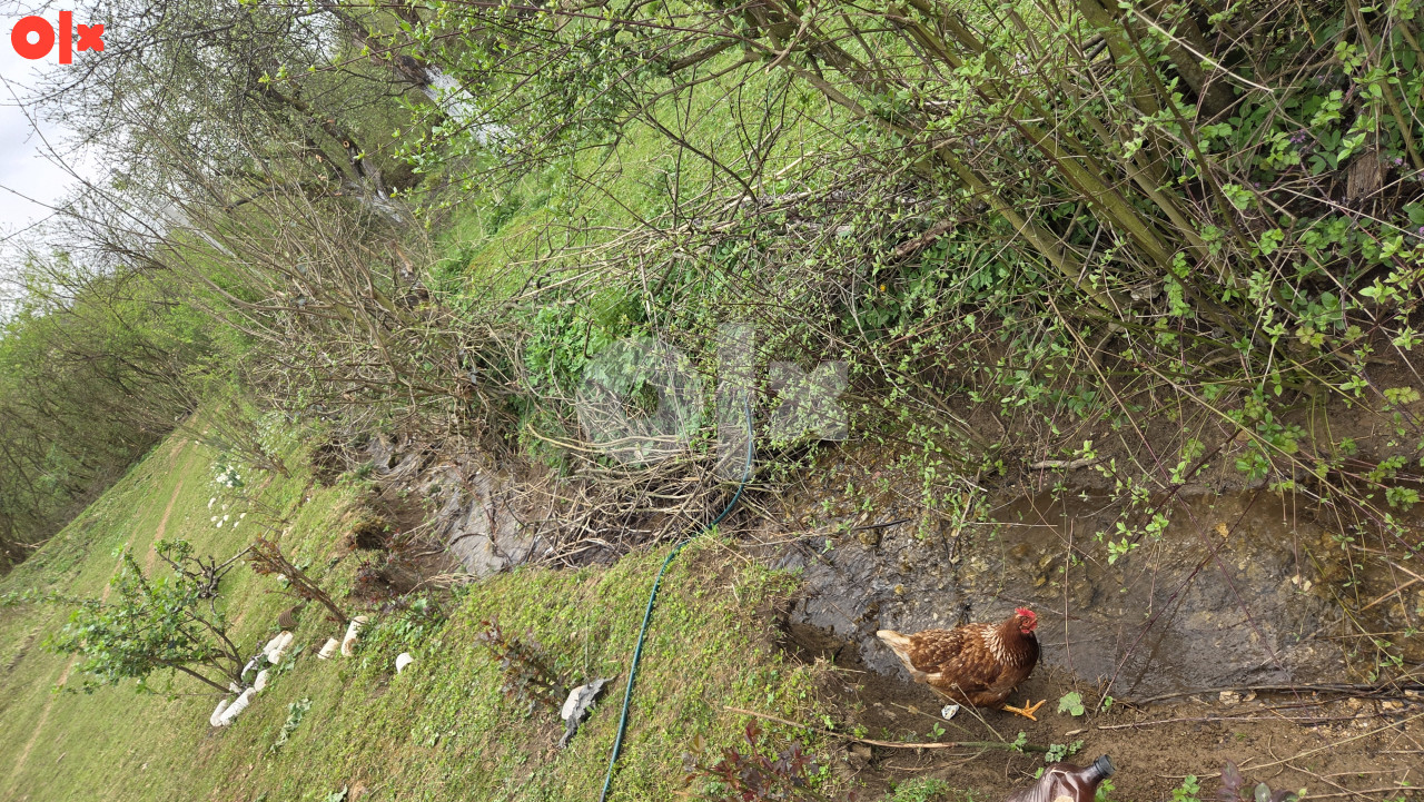 Zemljište Ilidža Rakovica Zelena Meraja 5022m2 25