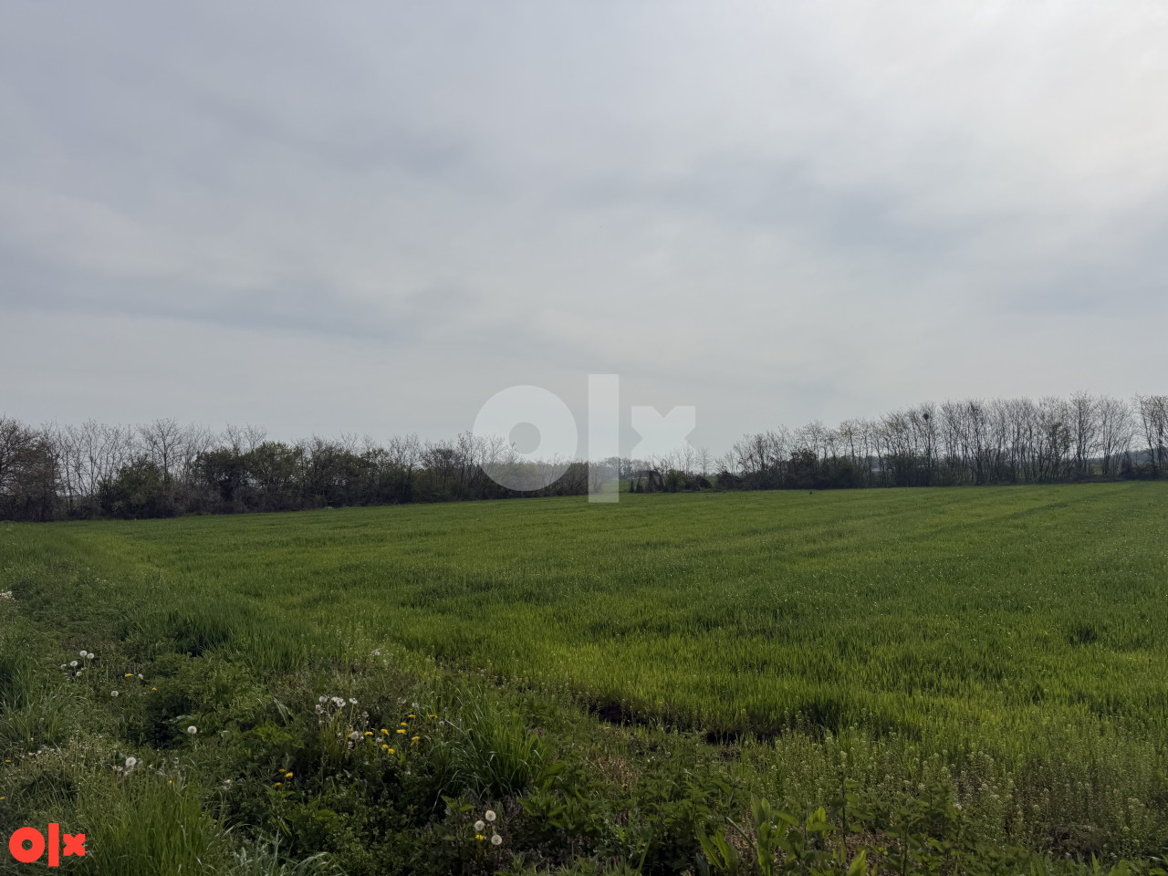 Zemljište na prodaju Bijeljina - Velika Obarska 3