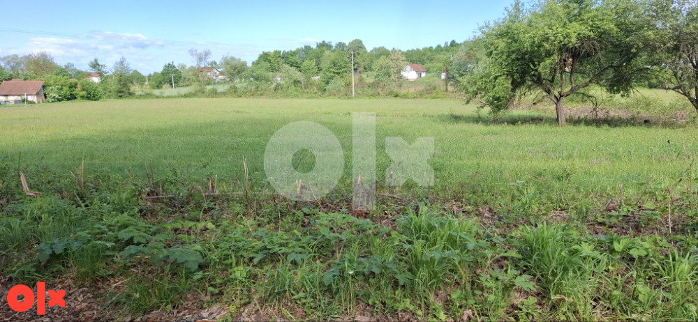 Zemljište Prijedor 8000 i 13 200 m2 gornji orlovci 3