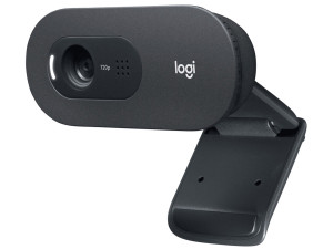 WEB kamera LOGITECH C505 HD, 960-001364