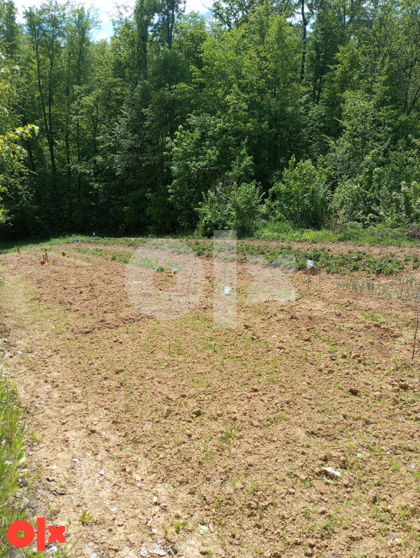 Zemljište Lopare 1000m2
