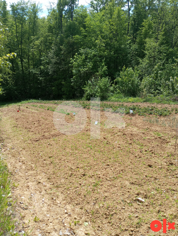 Zemljište Lopare 1000m2 2
