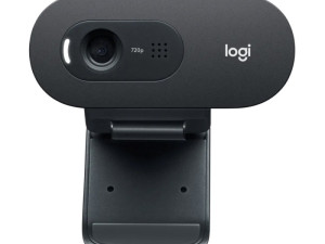 WEB camera LOGITECH C505 HD, 960-001364