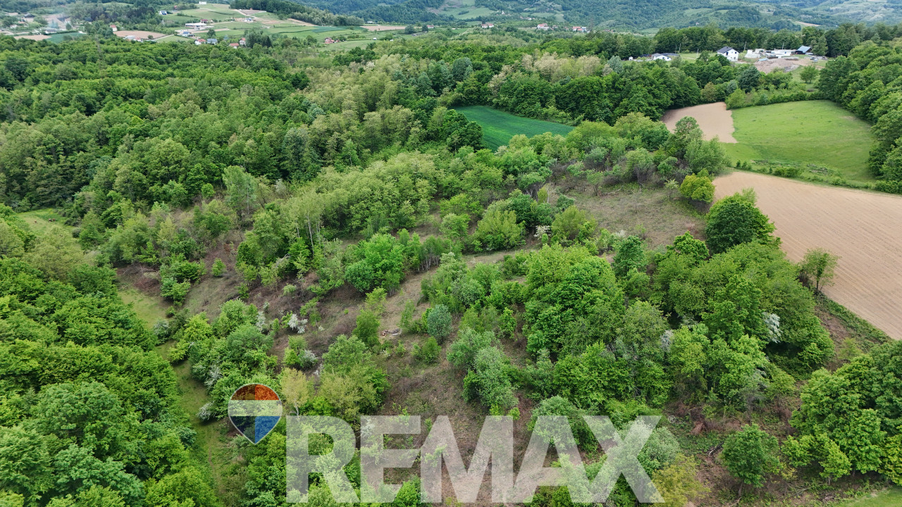 Zemljište u mirnom okruženju | 12 348 m2 | Čokori 3