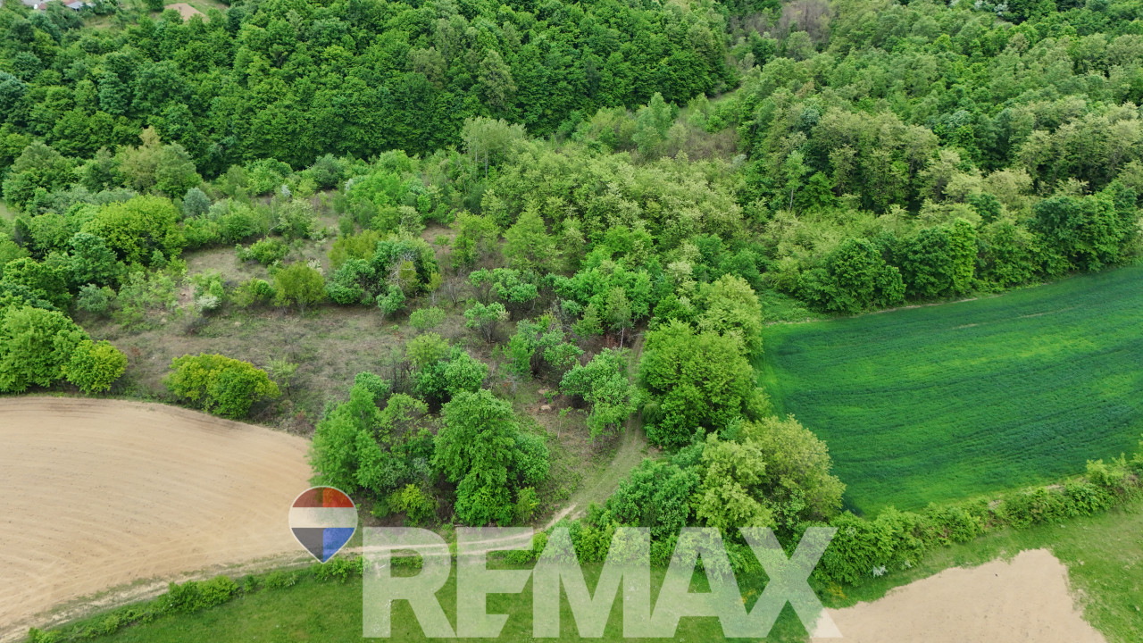 Zemljište u mirnom okruženju | 12 348 m2 | Čokori 4