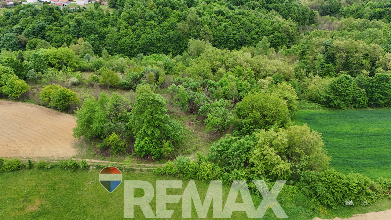 Zemljište u mirnom okruženju | 12 348 m2 | Čokori 7