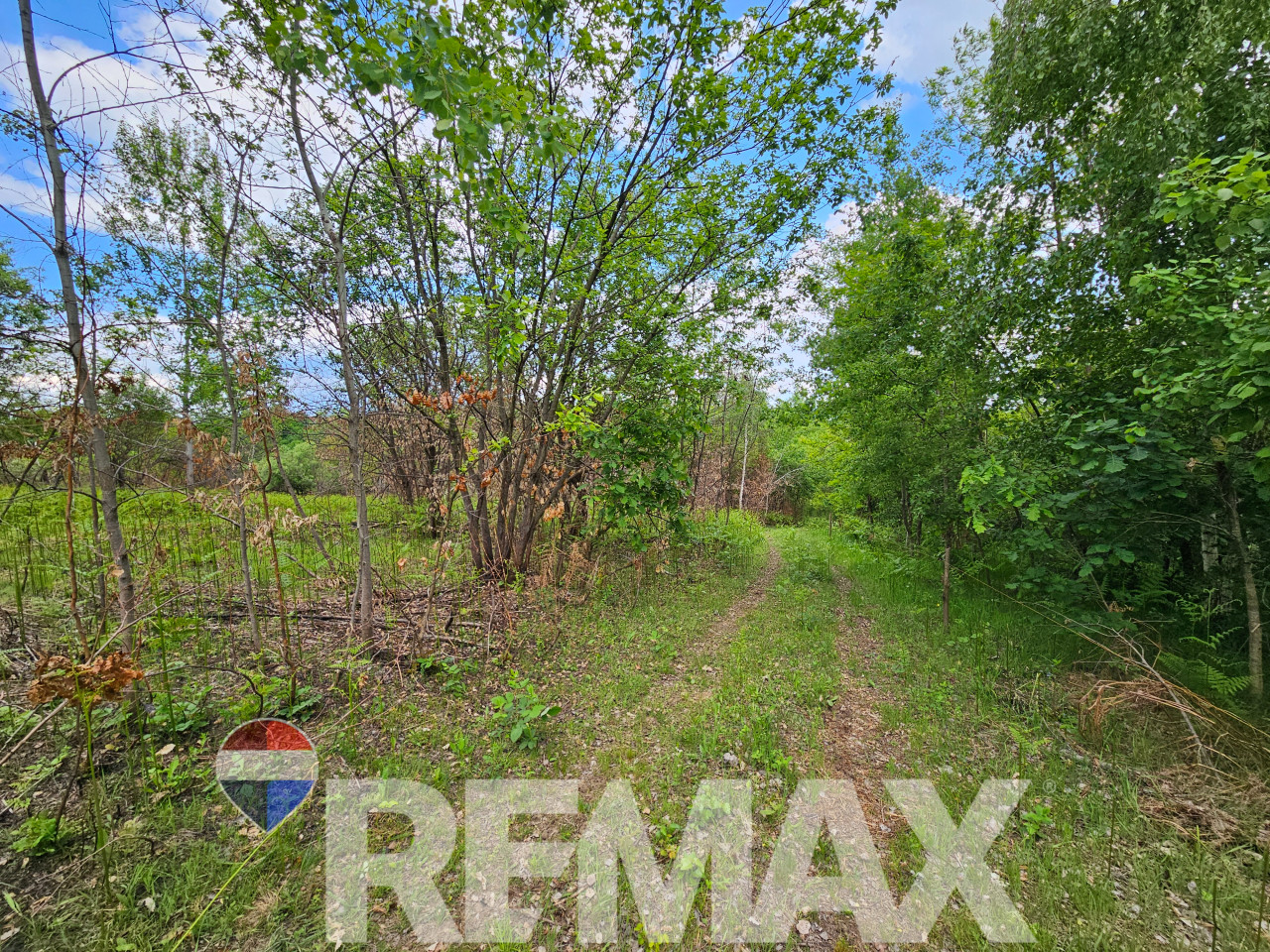 Zemljište u mirnom okruženju | 12 348 m2 | Čokori 8