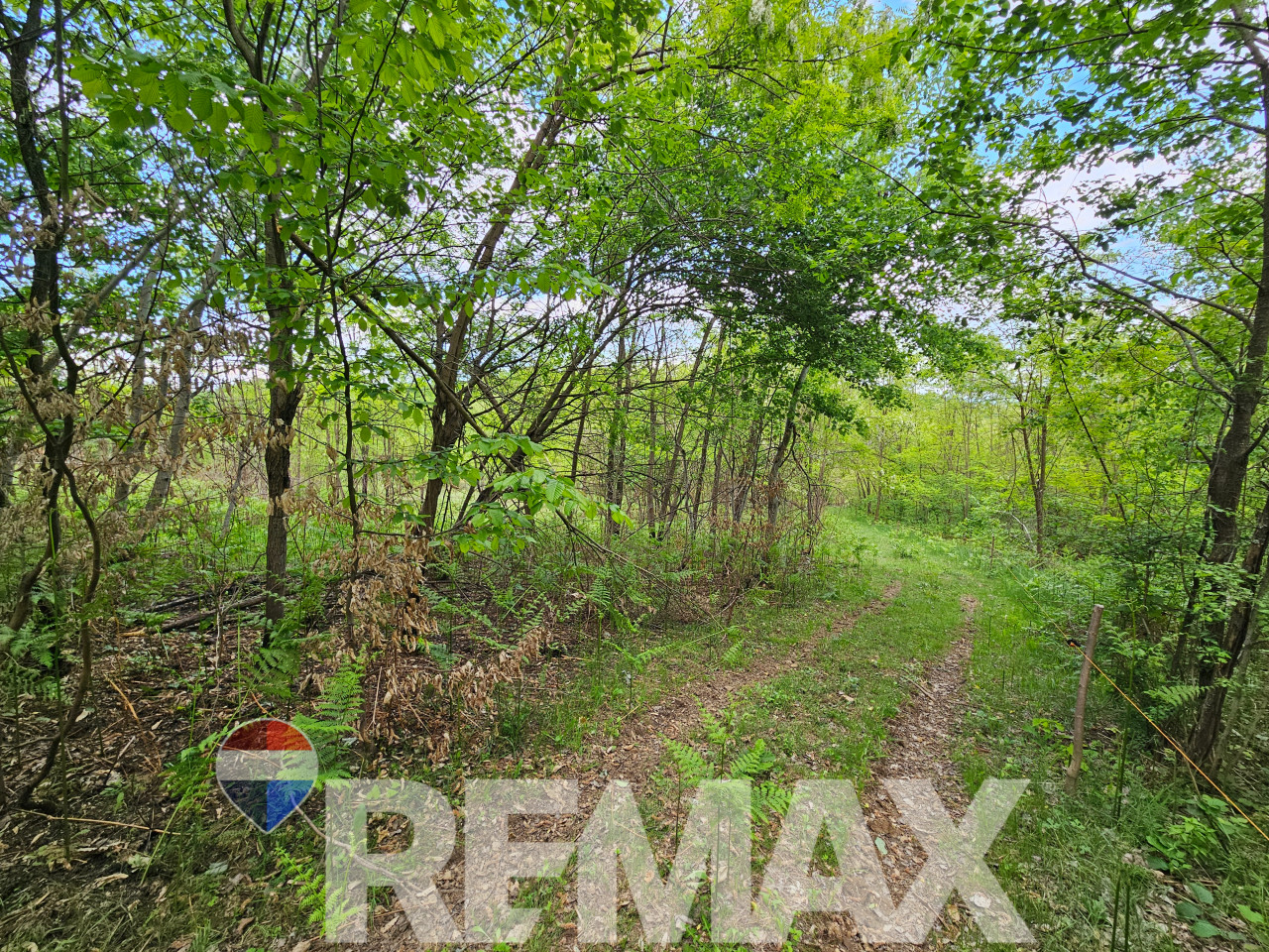 Zemljište u mirnom okruženju | 12 348 m2 | Čokori 9