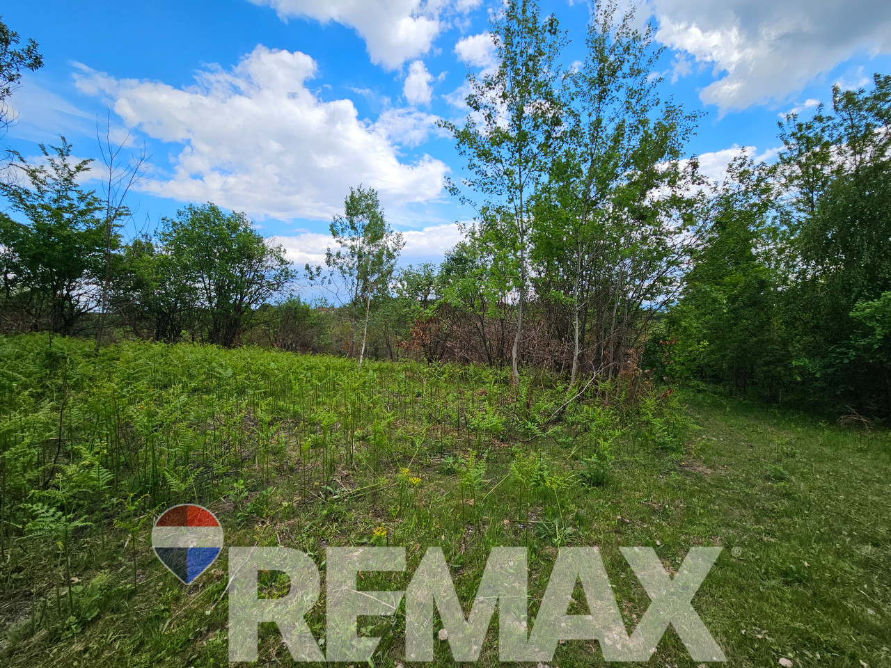 Zemljište u mirnom okruženju | 12 348 m2 | Čokori 10