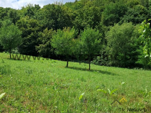 Tuzla-Kosci/ Atraktivno zemljište 5049 m2 sa manjom vikendicom