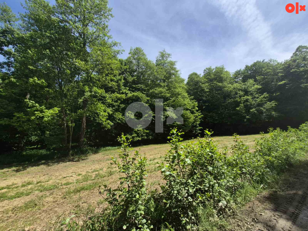 Zemljište Jablanica-3810 m2 3