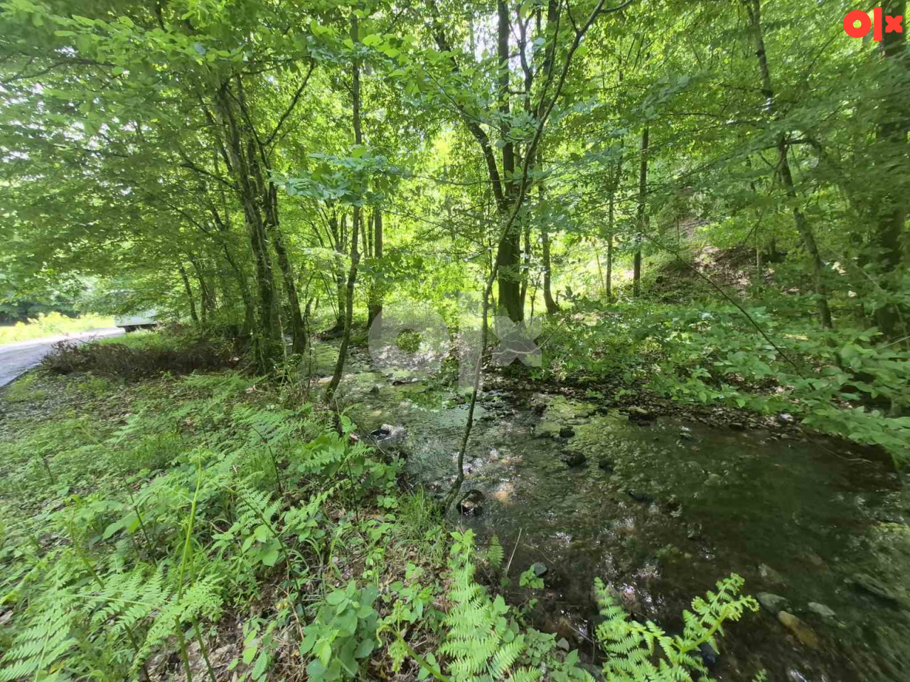 Zemljište Jablanica-3810 m2 2