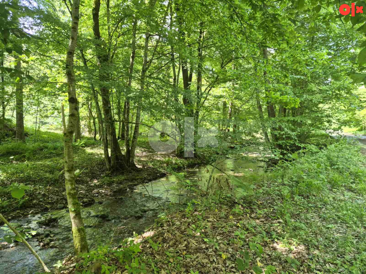 Zemljište Jablanica-3810 m2