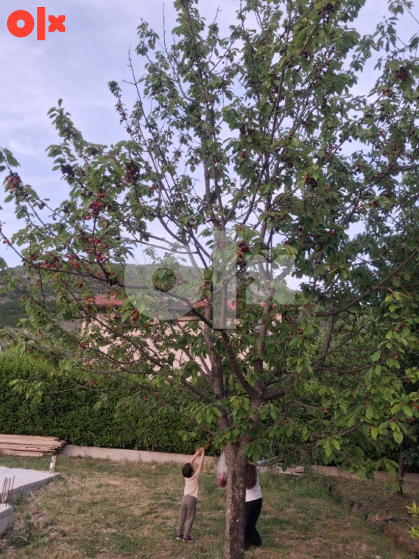 Zemljište Mostar Livac 800m2