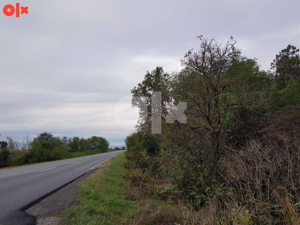 Zemlja i šuma