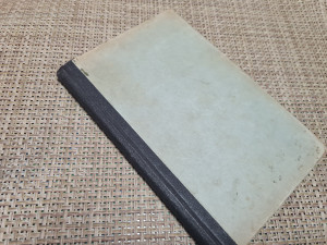 Pjotr, roman jednog cara, Klabund