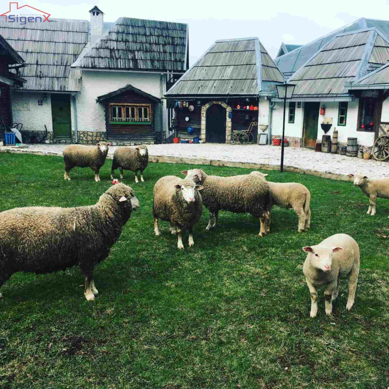 Zemljište Nišići/ Nišička visoravan/ 4687m2/ etno selo 10