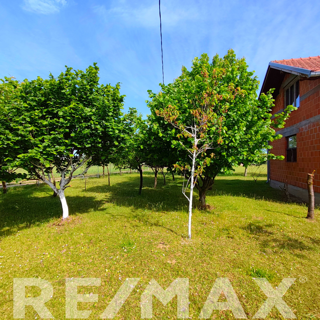 Kuća 60m2 sa placem 4000m2 17