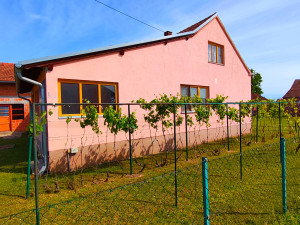 House 60m2 with plot 4000m2, ALEKSANDROVAC
