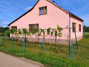 Kuća 60m2 sa placem 4000m2,ALEKSANDROVAC photo 3