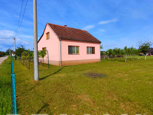 Kuća 60m2 sa placem 4000m2,ALEKSANDROVAC photo 5