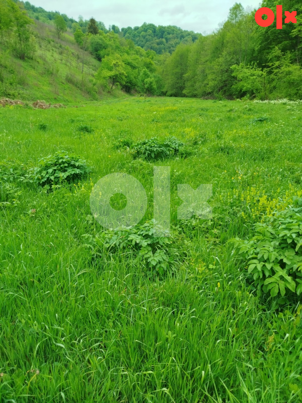 Zemljište Trnovo 2
