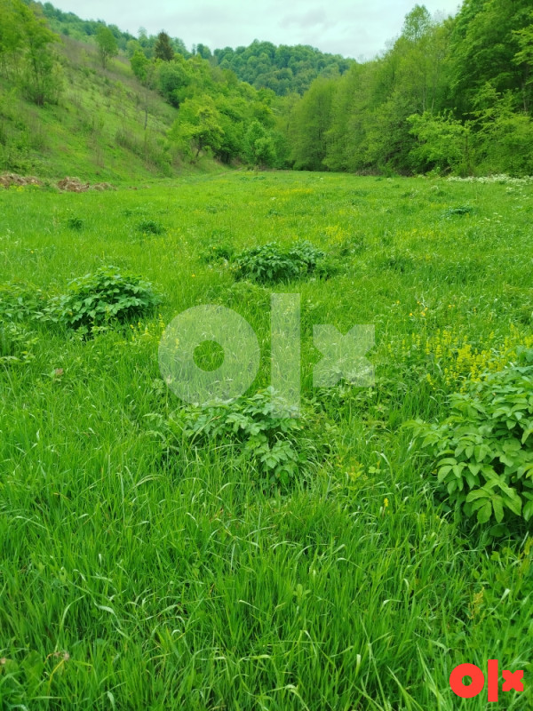Zemljište Trnovo