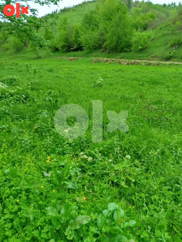Zemljište Trnovo 3
