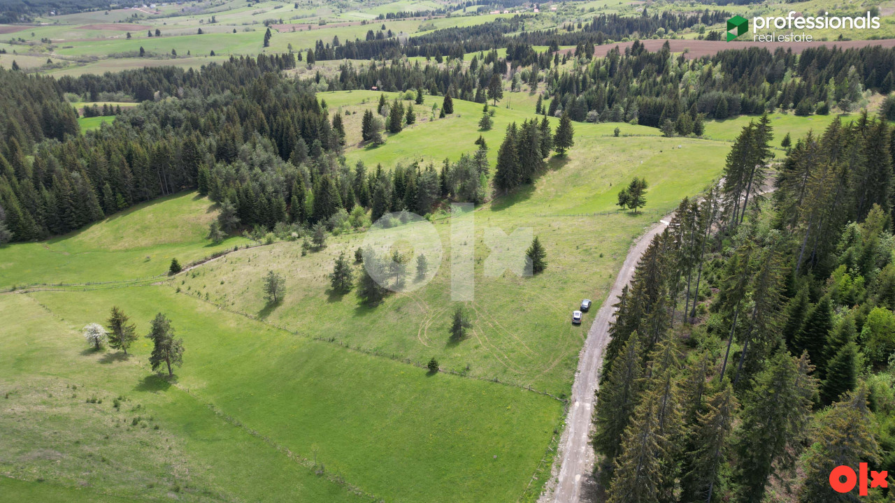 Zemljište Nišići 4733m2 6