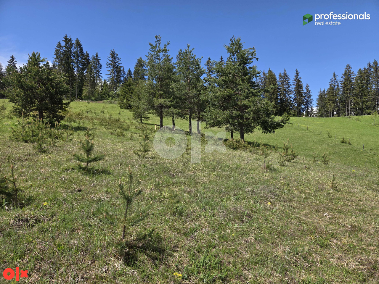 Zemljište Nišići 4733m2 11