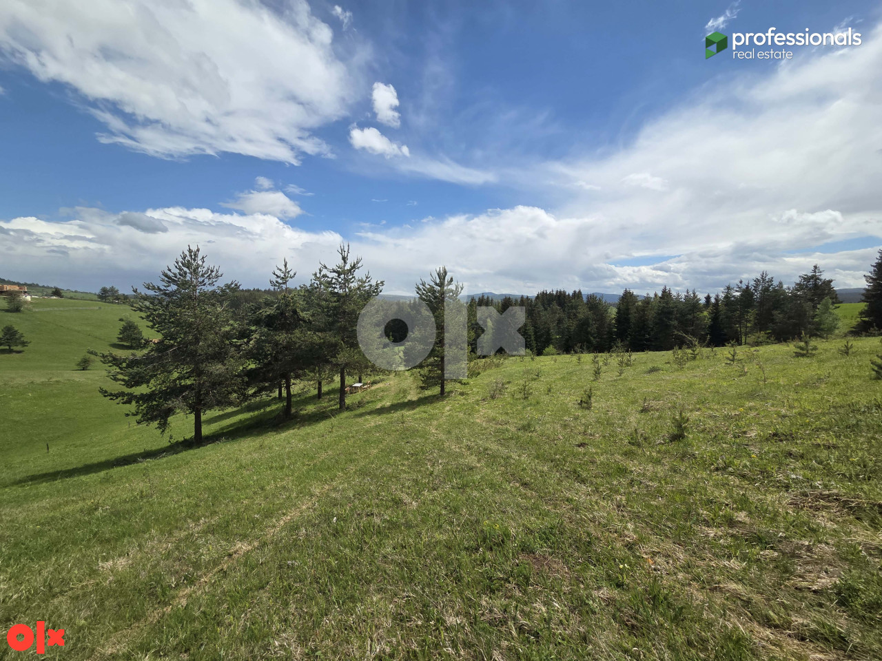 Zemljište Nišići 4733m2 13