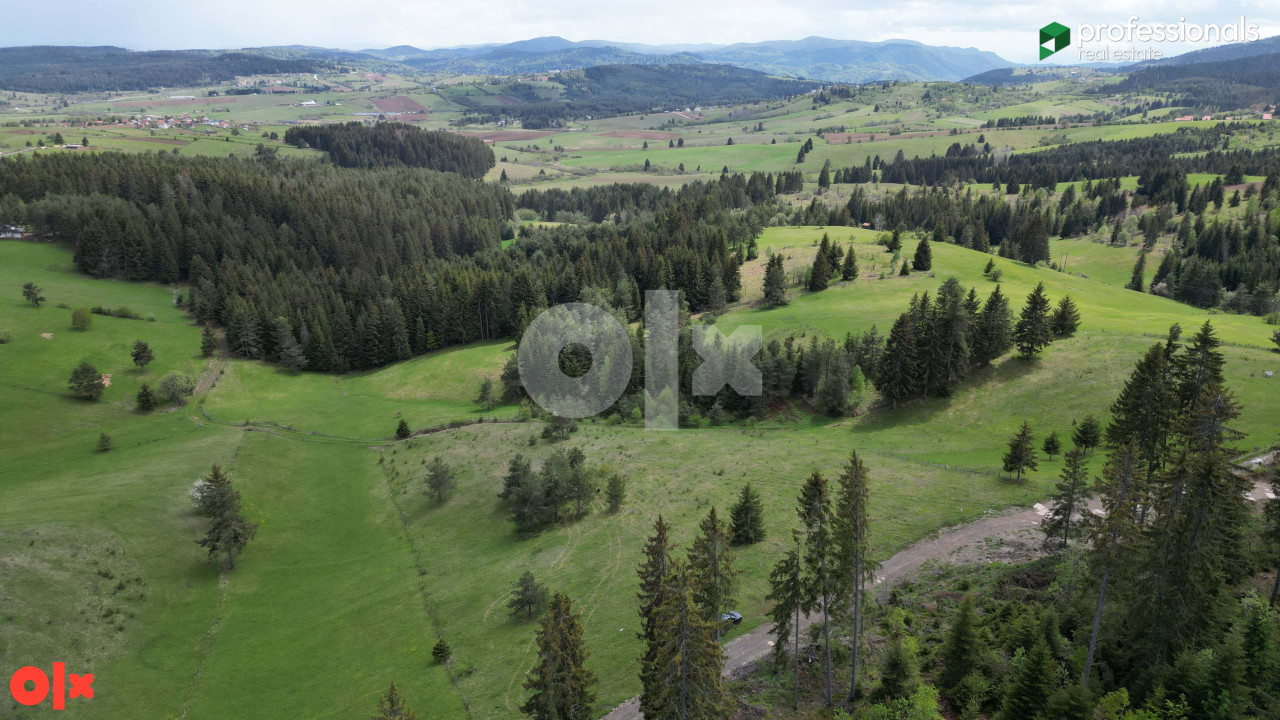 Zemljište Nišići 2367m2 5