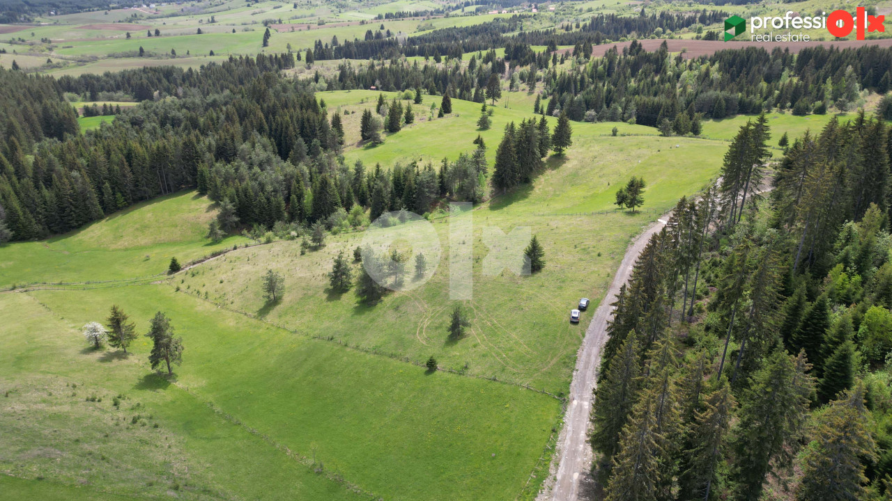 Zemljište Nišići 2367m2 6