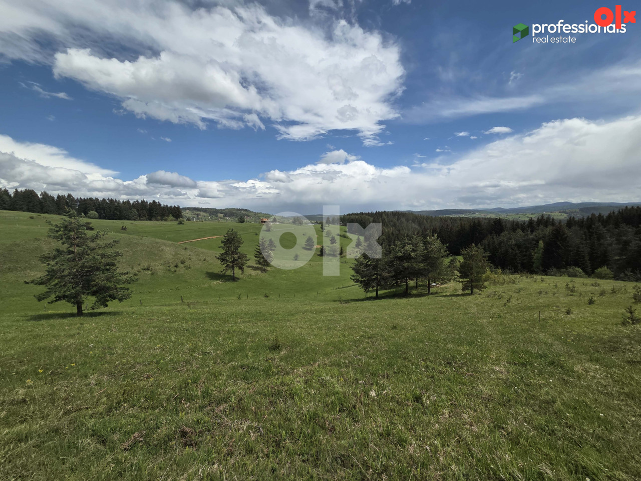 Zemljište Nišići 2367m2 7
