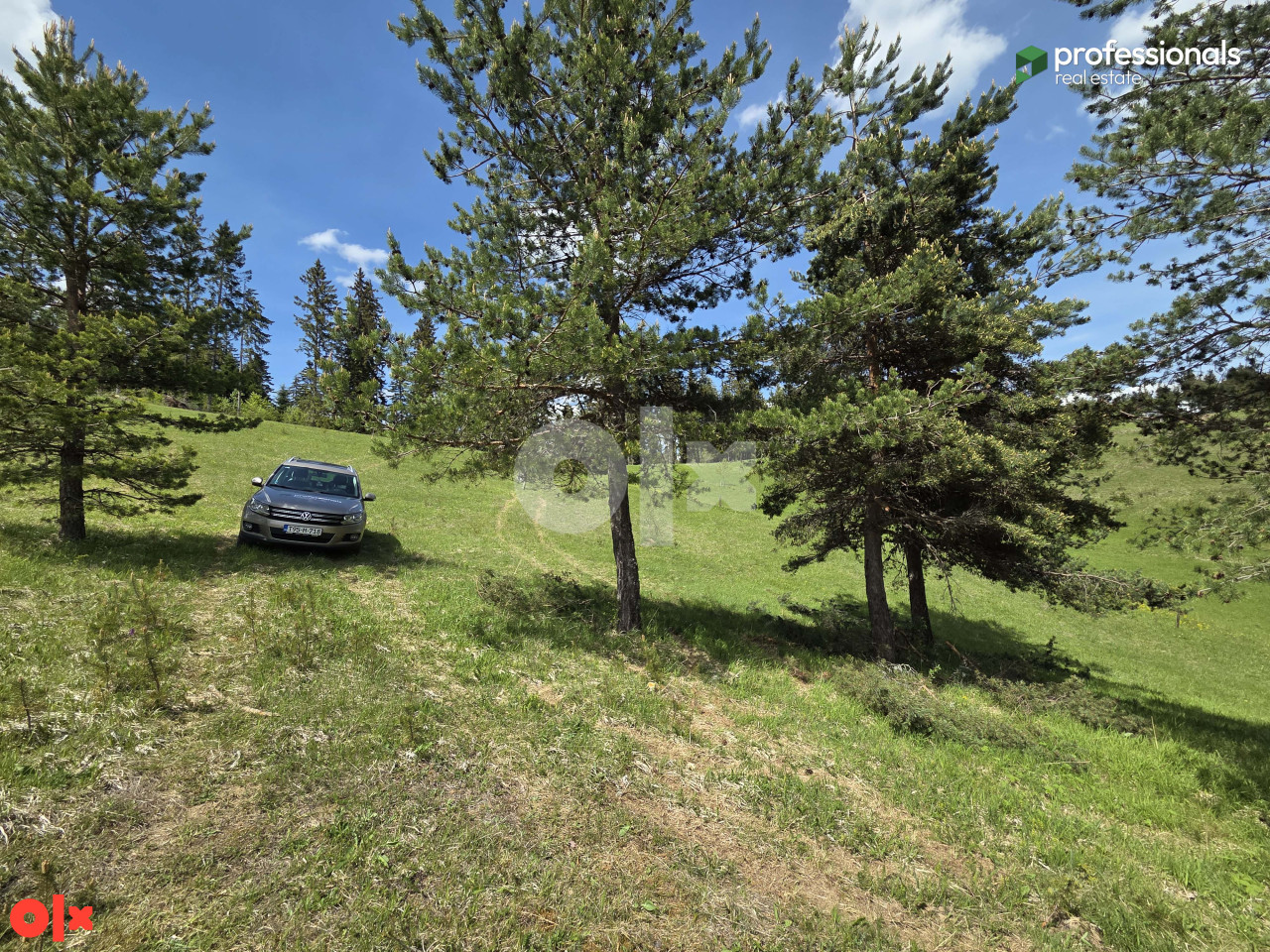 Zemljište Nišići 2367m2 8