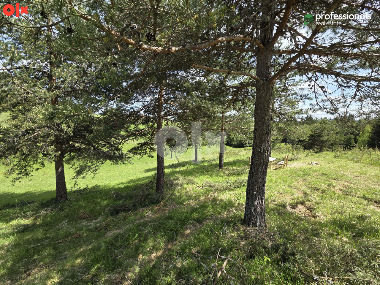 Zemljište Nišići 2367m2 9
