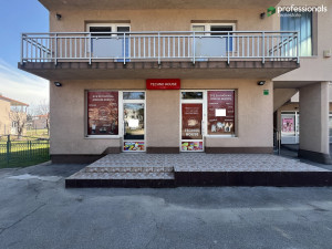 Poslovni prostor Osjek Ilidža 80 m2