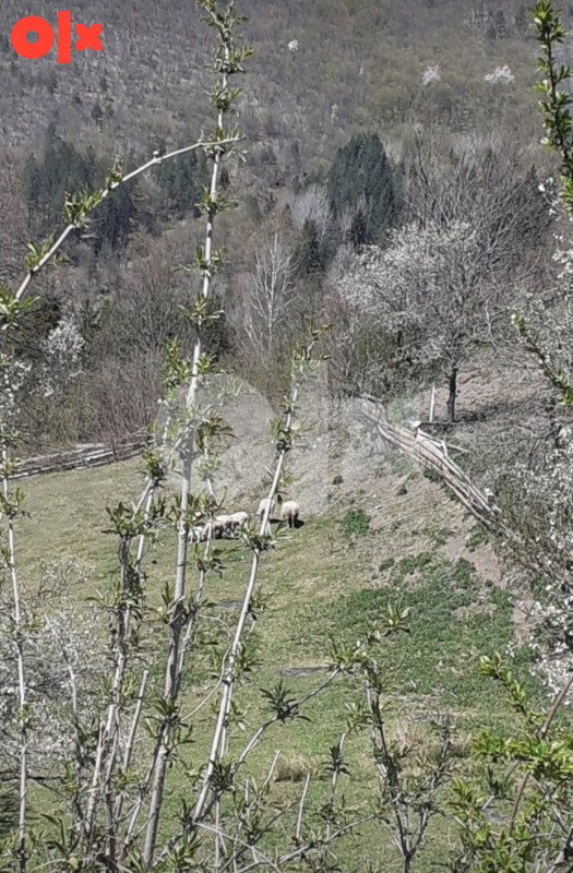 Zemljište Vogošća 2