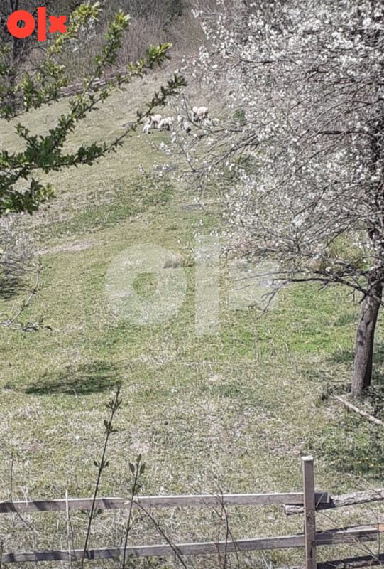 Zemljište Vogošća 3