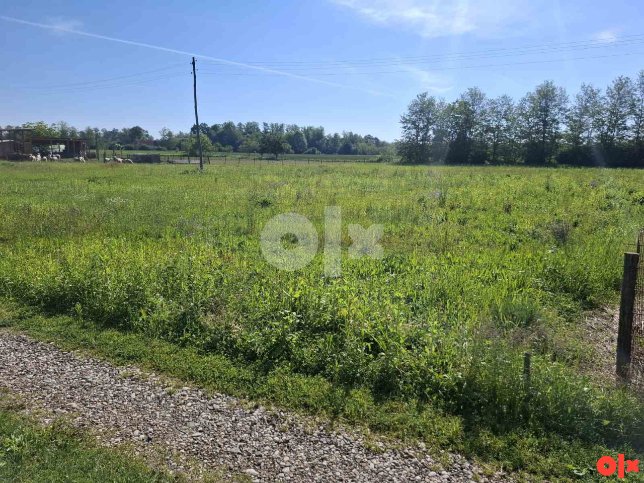 Zemljište Gradiška 3842m2 2