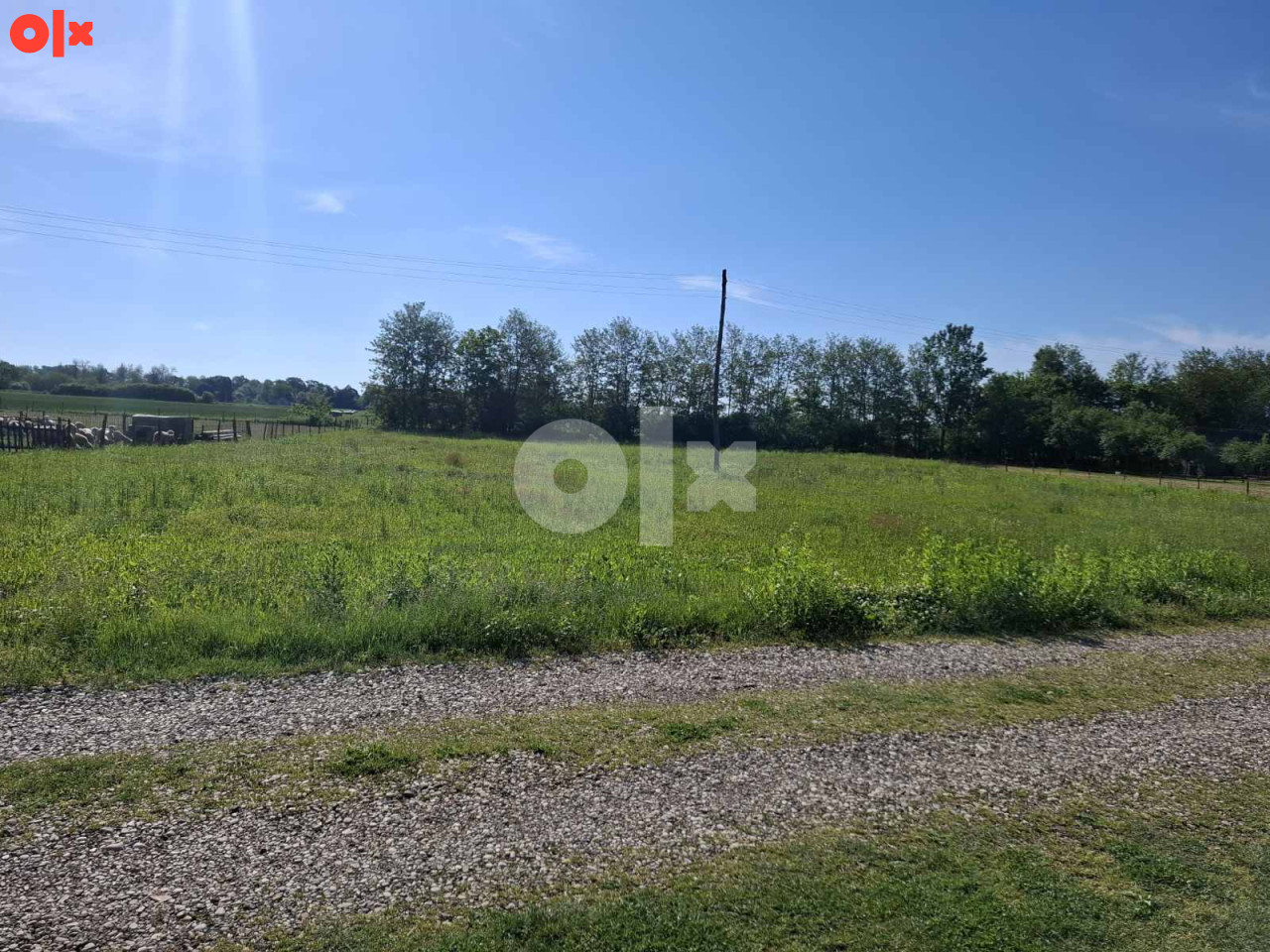Zemljište Gradiška 3842m2 5