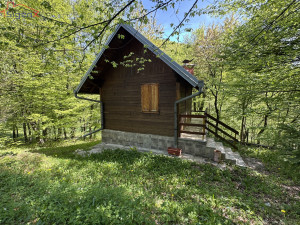 Vikednica uz potok/Zenik/2323m2/oaza mira i privatnosti