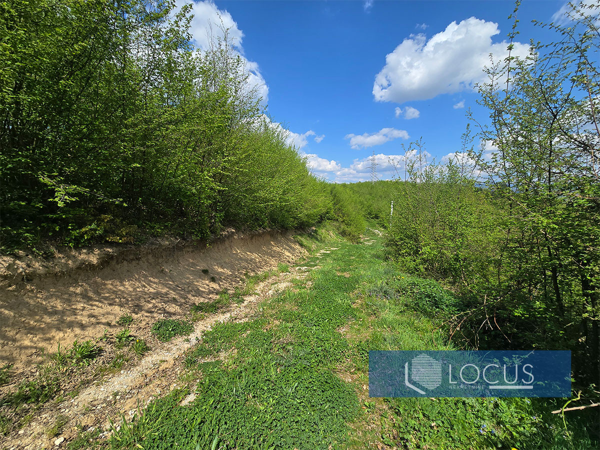 LOCUS: Građevinsko zemljište 11.591m2, Blažuj, Ilidža 6