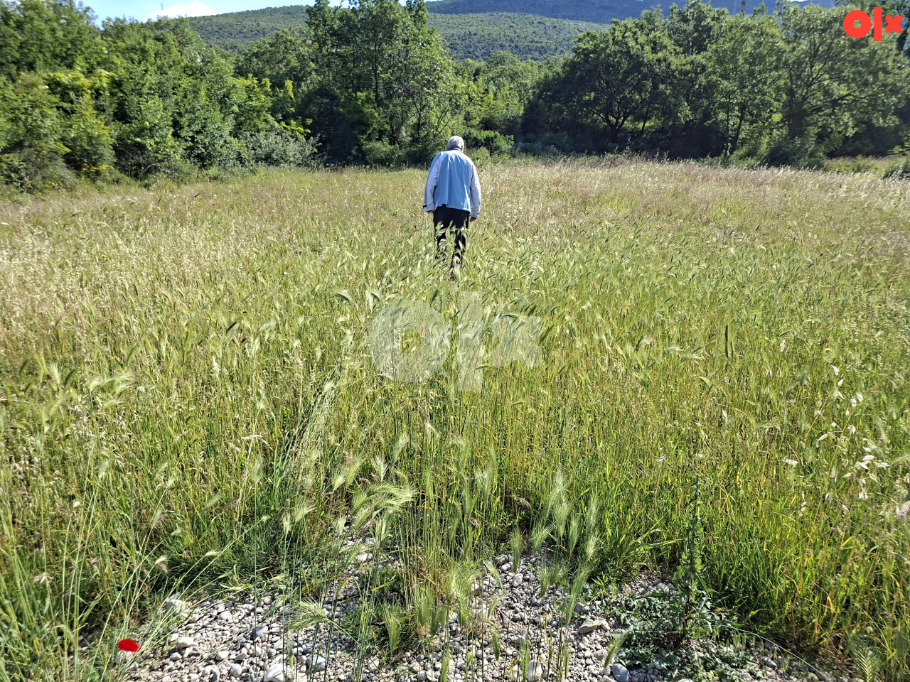 ALMENA/ Mostar/Dračevice,parcela na prodaju, 3853m2 2