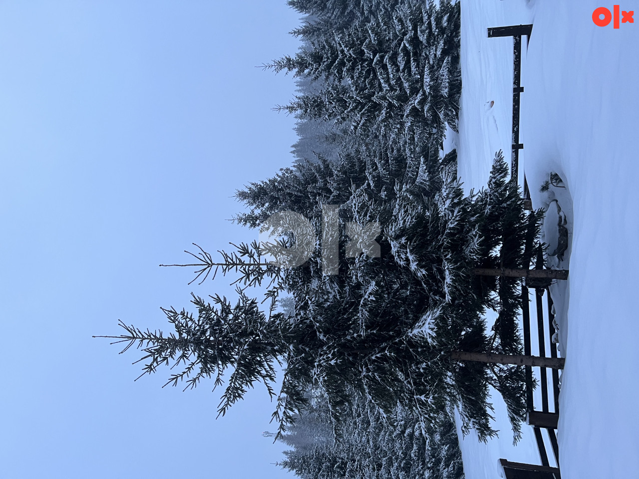 Vikendica Vlasic Babanovac 10