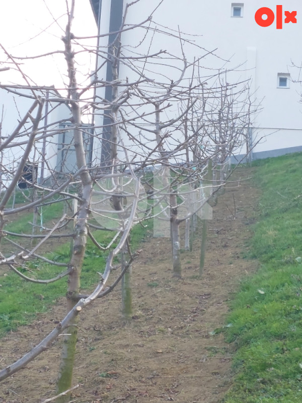 Zemljiste Vocnjak lokacija Unkici