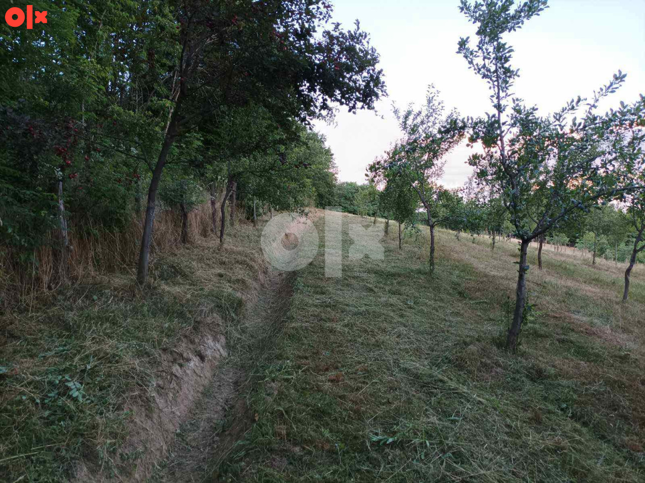 Zemljište Prijedor Bistrica VRLO POVOLJNO! 2