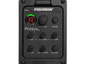 ELEKTORNIKA F310 FISHMAN